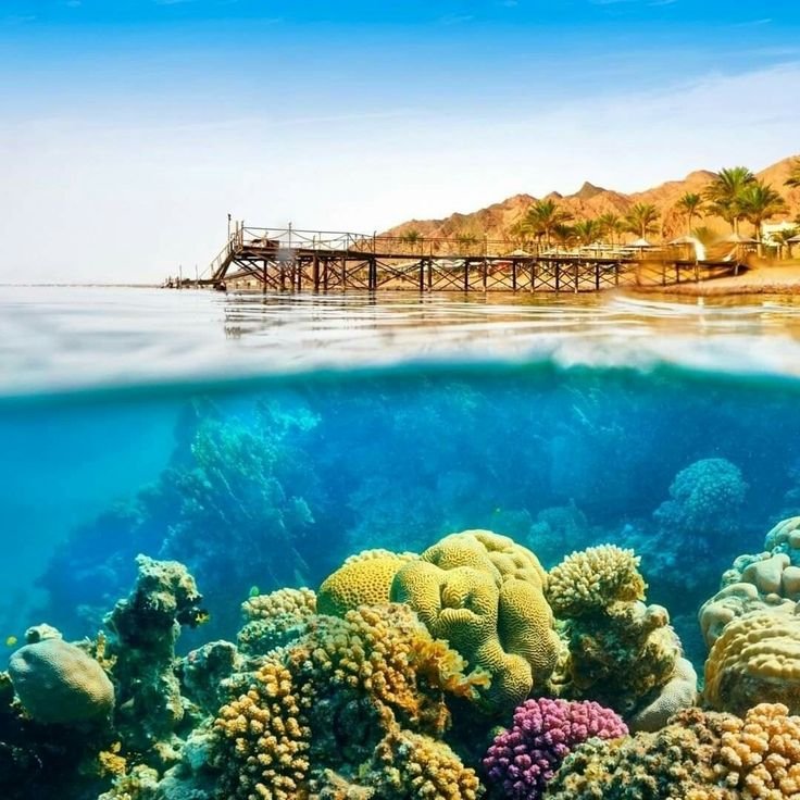 Marsa Alam